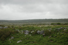 Karst pavements and topography of the Burren approx 5km south of Ballyvaughan Co Clare Ireland. Exposures of the Dinantian Burren Limestone Formation are composed of shallow water carbonates. Note the clints (limestone blocks) and grikes (joints formed by Variscan folding (Coller, 1984) and fracturing) enlarged by Pleistocene disolution (Williams, 1966).